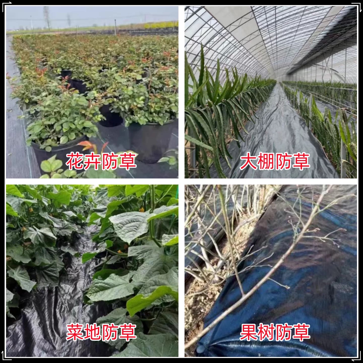 许昌市货车苫盖膜防草布 - 厂家