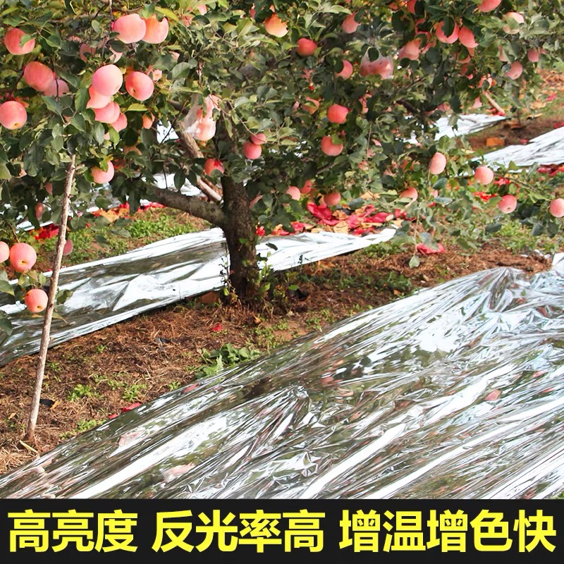 许昌市po膜果树反光膜 - 排名